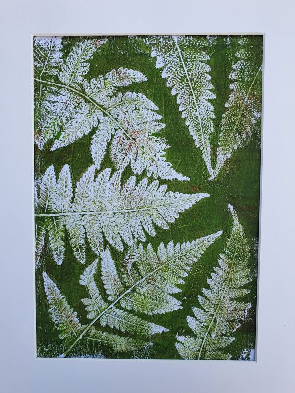 Farne im Kreis in olivgrün. Gelliart. Druck auf der Gelplatte in Acryl - Image 2