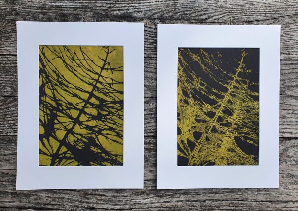 2er SET Monoprint aus Schachtelhalm. Druck auf der Gelplatte. In grün, schwarz