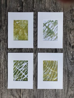 4er SET Schachtelhalm in Grün und weiß. Monoprint auf der Gelplatte in Acryl