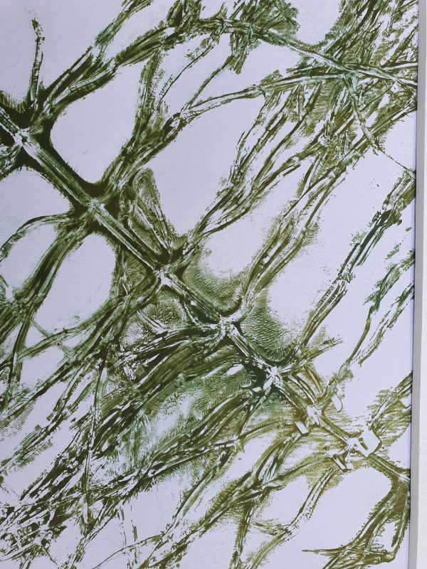 4er SET Schachtelhalm in Grün und weiß. Monoprint auf der Gelplatte in Acryl - Image 3