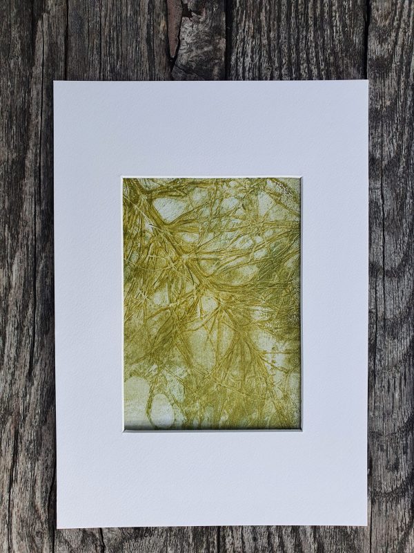 4er SET Schachtelhalm in Grün und weiß. Monoprint auf der Gelplatte in Acryl - Image 4