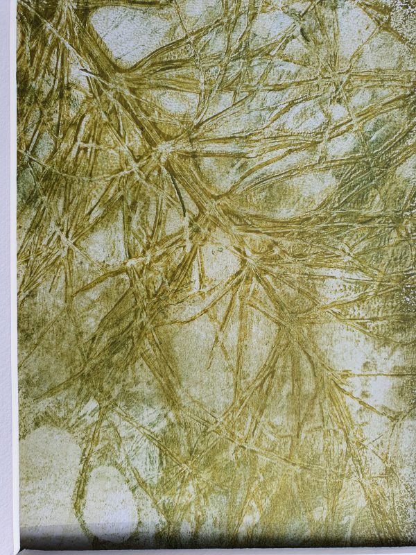 4er SET Schachtelhalm in Grün und weiß. Monoprint auf der Gelplatte in Acryl - Image 5