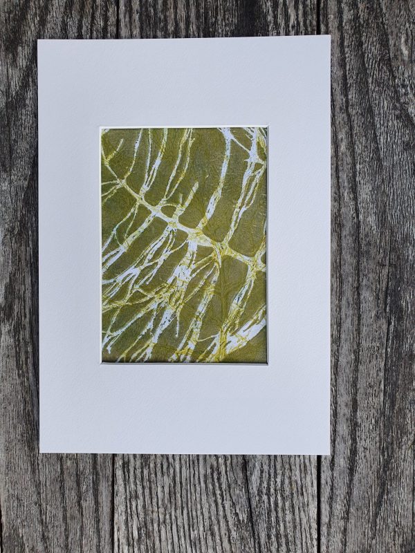 4er SET Schachtelhalm in Grün und weiß. Monoprint auf der Gelplatte in Acryl - Image 6