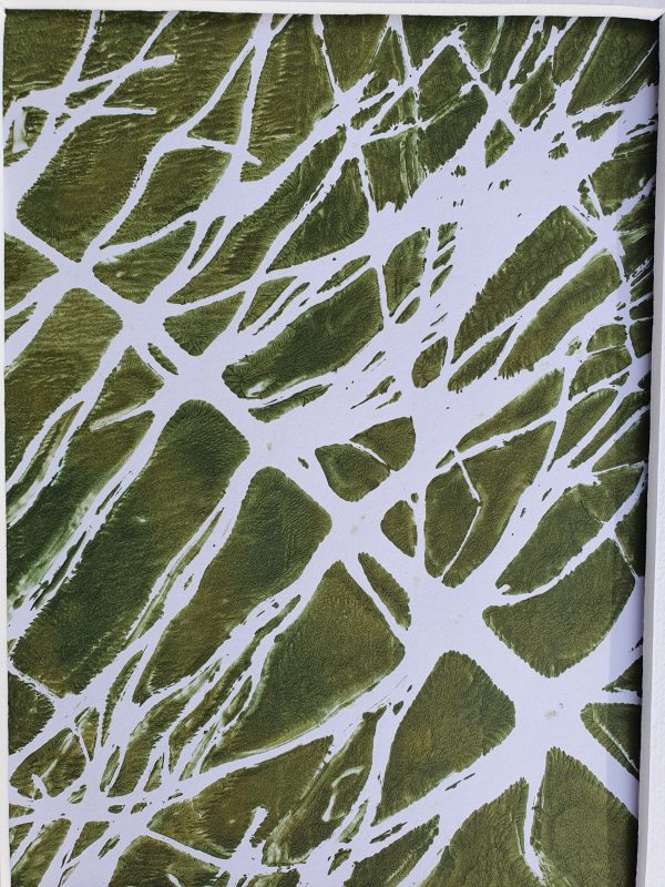 4er SET Schachtelhalm in Grün und weiß. Monoprint auf der Gelplatte in Acryl - Image 9
